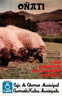 Oñatiko artzain txakur txapelketa 1981