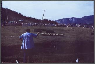 Oñatiko artzain txakur txapelketa 1981