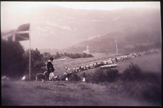 Oñatiko artzain txakur txapelketa 1981